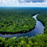 Congo rain forest and river