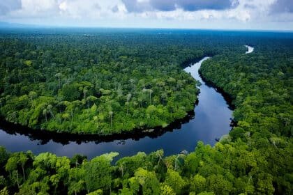 Congo rain forest and river